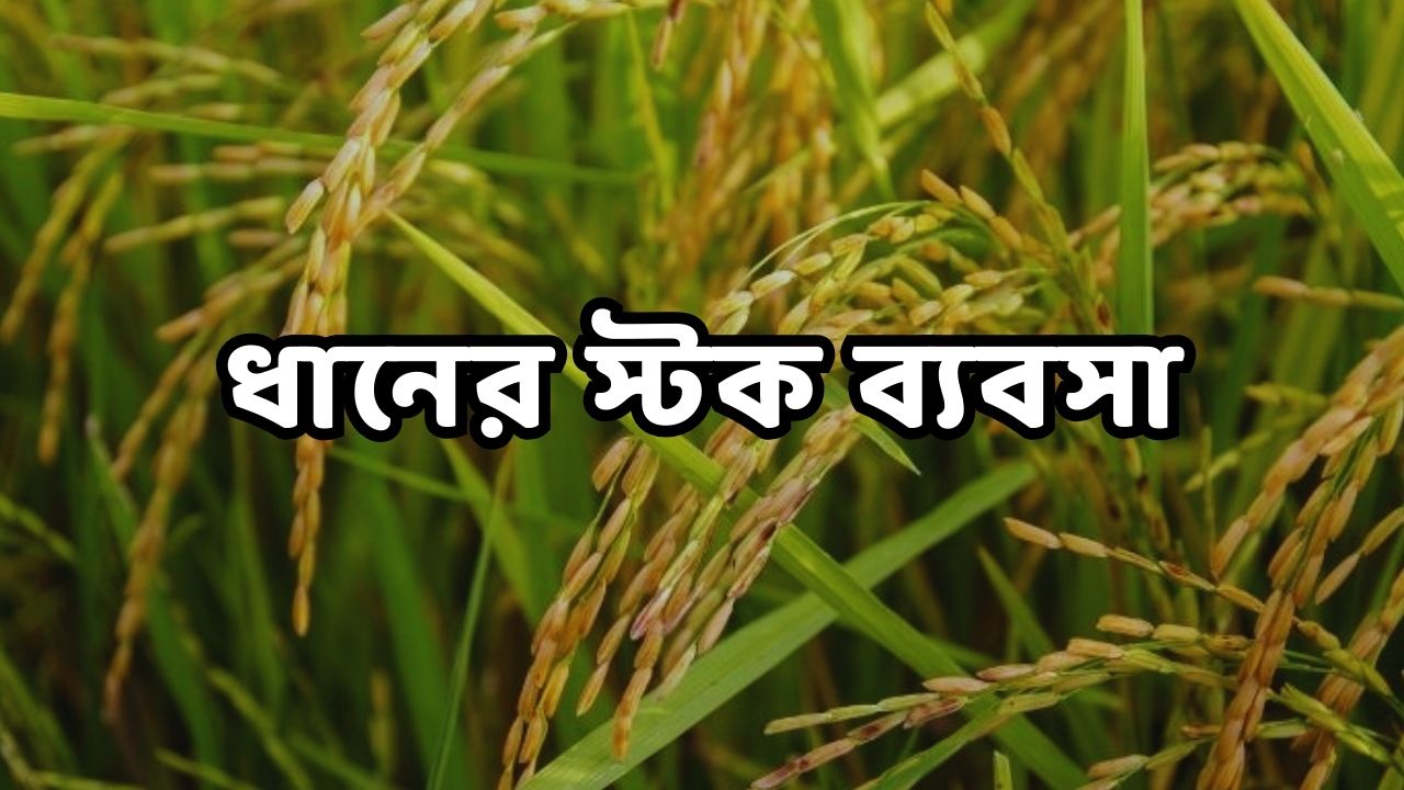 ধানের স্টক ব্যবসা