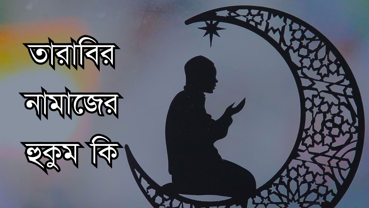 তারাবির নামাজের হুকুম কি