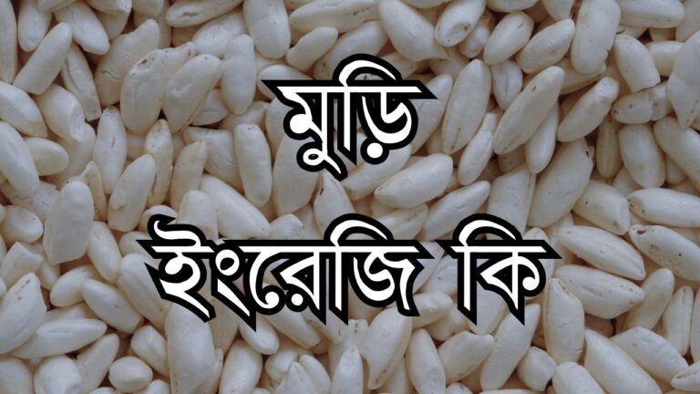 মুড়ি ইংরেজি কি