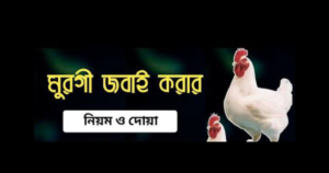 মুরগি জবাই করার সময় মাথা কোন দিকে থাকবে
