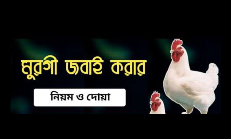মুরগি জবাই করার সময় মাথা কোন দিকে থাকবে
