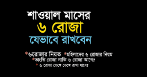 শাওয়াল মাসের রোজা রাখার নিয়ম